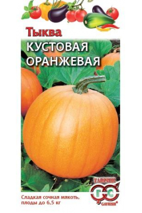Тыква Кустовая оранжевая 1 гр. Гавриш